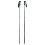 Kije trekkingowe treningowe Viking Kalio Trekking Nordic Walking (610/17/2501/09/UNI)