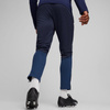 Spodnie Puma Team Goal Training M 658639 06 (65863906)