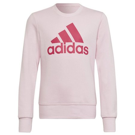 Bluza adidas Big Logo SWT Jr (HM8709)