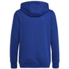 Bluza adidas Big Logo Essentials Hoody Jr (HN1912)