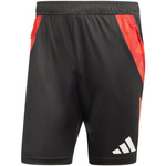 Spodenki adidas Tiro 24 Competition Training M (IR5484)