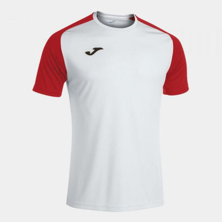 Koszulka piłkarska Joma Academy IV Sleeve (101968.206)