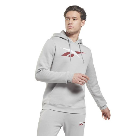 Bluza męska Reebok TE VECTOR OTH HOODIE sportowa z regulowanym kapturem szara (HI0591)