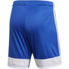 Spodenki adidas Tastigo 19 Shorts M (DP3682)