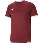 Koszulka Puma teamLIGA Jersey M 704917 09 (70491709)