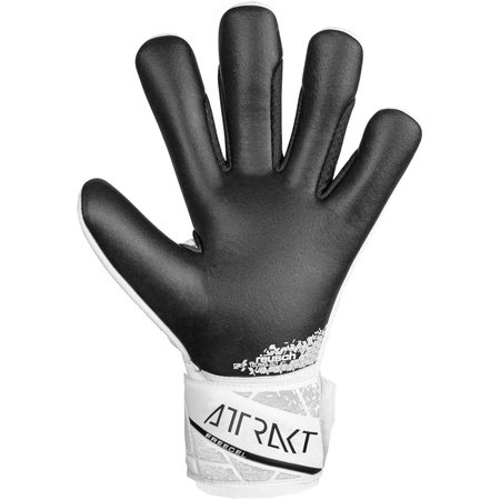 Attrakt Freegel Silver Junior (54/72/035/1101)