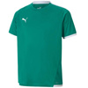 Koszulka Puma teamLIGA Jersey Jr 704925 05 (70492505)