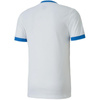 Koszulka Puma teamGOAL 23 Jersey M 704171 12 (70417112)