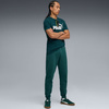Spodnie męskie Puma ESS no.1 Logo Sweatpants FL zielone (682607 75)