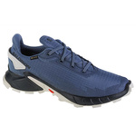 Buty do biegania Salomon Alphacross 4 GTX M  (471168)