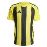 Koszulka adidas Striped 24 JSY M IW2146