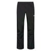 Spodnie dresowe męskie The North Face Tanken Pant Regular Fit outdoorowe czarne (NF0A3RZYJK3)