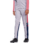 Spodnie dla dzieci adidas Squadra 25 Training szaro-granatowe (JP3369)
