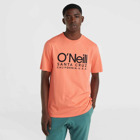 Koszulka O'Neill Cali Original T-Shirt M (92800613165)