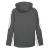 Bluza męskie Puma EVOSTRIPE FULL-ZIP HOODIE Szary (67899580)