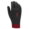 Rękawiczki Nike Liverpool FC Thermafit HO23 (FJ4857-010)