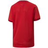 Koszulka Puma teamGOAL 23 Jersey Jr 704160 01 (70416001)
