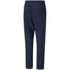 Spodnie Puma teamRise Sideline Pants M 657327 06 (65732706)
