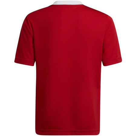 Koszulka adidas Entrada 22 Jsy Jr (H57496)