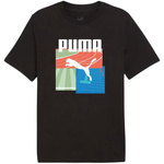 Koszulka Puma Graphics Summer Sports Tee II M 627909 01 (62790901)