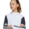 Bluza adidas Squadra 25 Sweat Hoody Jr JD4807 (JD4807)