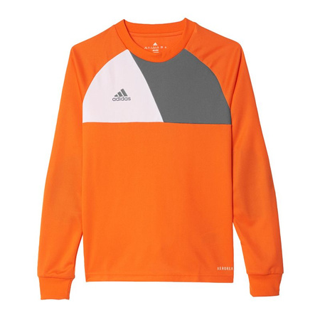 Bluza adidas Assita 17 Jr (AZ5402)