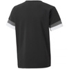 Koszulka Puma teamRise Jersey Jr 704938 03 (70493803)
