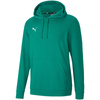 Bluza Puma teamGOAL 23 Casuals Hoody Jr 656711 05 (65671105)