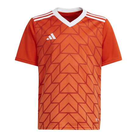 Koszulka adidas Team Icon 23 Jr (IC1254)