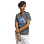 Koszulka adidas Big Logo Tee W (IC0634)