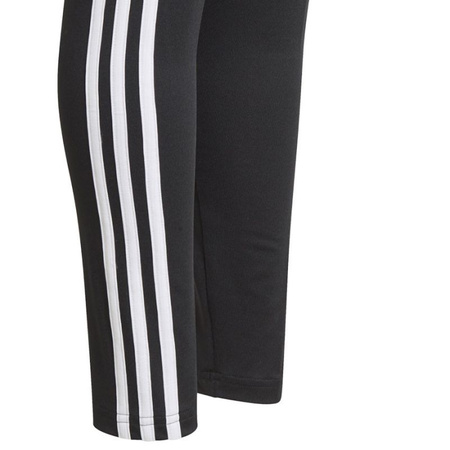 Legginsy adidas D2M 3 Stripes Tight Jr (GN1453)
