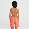 Szorty kąpielowe O'Neill Mix& Match Cali Floral 13'' Swim Shorts Jr (92800613859)