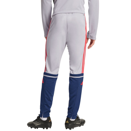 Spodnie męskie adidas Squadra 25 Training szare (JP3372)