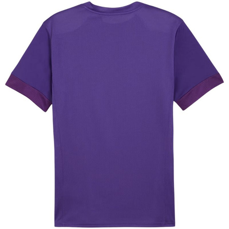 Koszulka Puma teamGoal Matchday Jersey M 705747 10 (70574710)