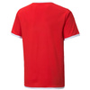 Koszulka Puma teamLIGA Jersey Jr 704925 01 (70492501)