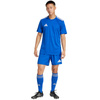 Spodenki adidas Tastigo 25 M JN7159 (JN7159)