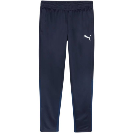 Spodnie Puma Team Goal Training M 658639 06 (65863906)