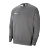 Bluza Nike Park 20 Crew Fleece Jr (CW6904-071)