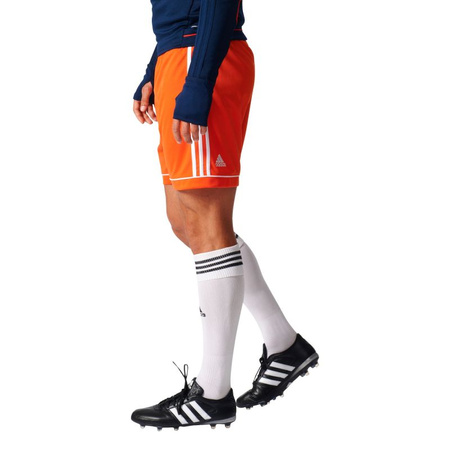 Spodenki piłkarskie adidas Squadra 17 M (BJ9229)