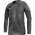 Koszulka bramkarska Nike Gardien IV Goalkeeper JSY M DH7967 060 (DH7967060)