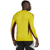 Koszulka bramkarska męska adidas Tiro 23 Competition Long Sleeve żółta (HK7696)