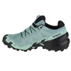 Buty do biegania Salomon Speedcross 6 GTX W  (417435)