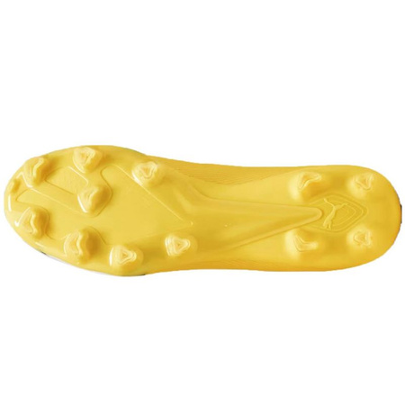 Buty piłkarskie Puma Ultra Pro FG/AG M 107422 04 (10742204)