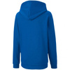 Bluza Puma teamGOAL 23 Casuals Hoody Jr 656711 02 (65671102)