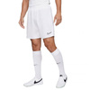 Spodenki Nike Dri-FIT Academy M CW6107-100 (CW6107100)