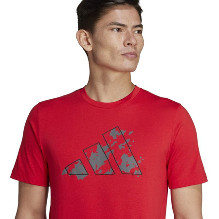 Koszulka adidas Train Essentials Seasonal Training Graphic M (IJ9604)