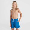 Szorty kąpielowe O'Neill Vert 14" Swim Shorts Jr (92800614215)