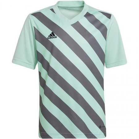Koszulka adidas Entrada 22 Graphic Jersey Jr (HF0127)