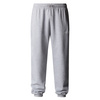 Spodnie The North Face M SD RG TP JOGGER Szary (NF0A8C1WDYX)