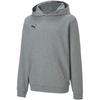 Bluza Puma teamGOAL 23 Casuals Hoody Jr 656711 33 (65671133)